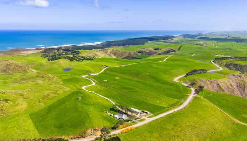 780 Te Maire Road, Te Kopuru