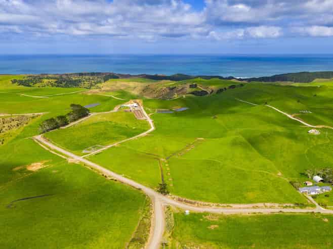 780 Te Maire Road, Te Kopuru