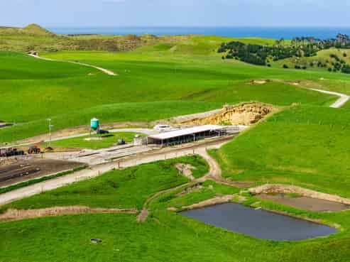 780 Te Maire Road, Te Kopuru