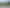 21 Koa Street, Gore