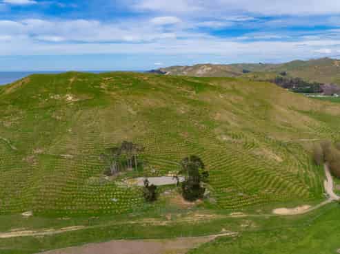 25 Punawaitai Road, Pourerere