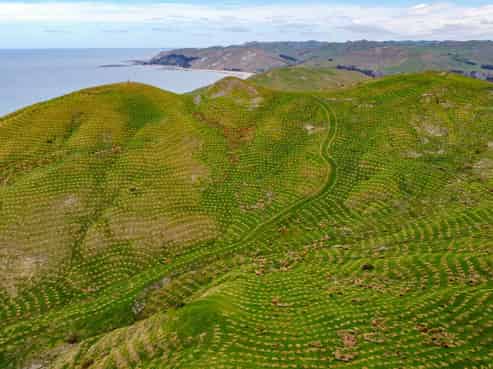 25 Punawaitai Road, Pourerere