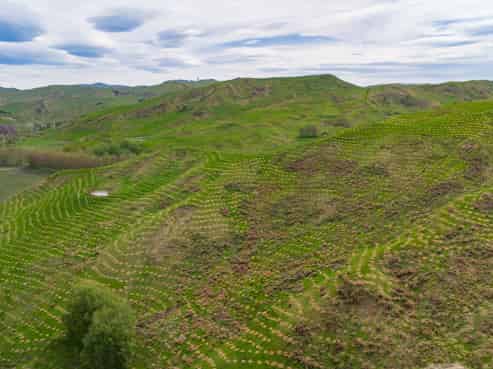 25 Punawaitai Road, Pourerere