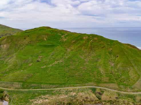 25 Punawaitai Road, Pourerere