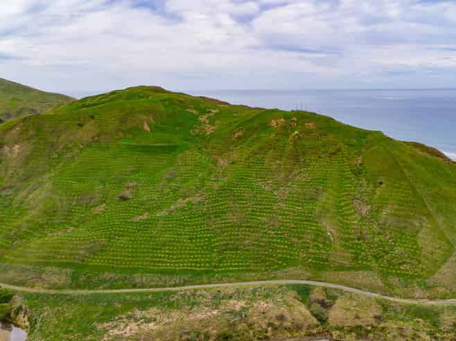 25 Punawaitai Road, Pourerere