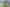 Hawkes Bay - Address withheld
