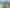 Hawkes Bay - Address withheld