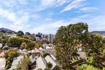 3c/20 Maarama Crescent, Aro Valley