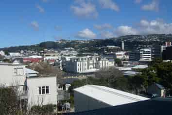 16A Levy Street, Mount Victoria