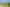 Central North Island - Address withheld