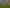 4 Tillman Avenue, Strowan