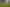 Lot 1 2582 Okau Road, Waitaanga