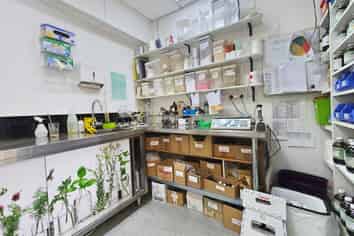 Versatile Retail in Mt Albert