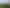 315a Highcliff Road, Highcliff