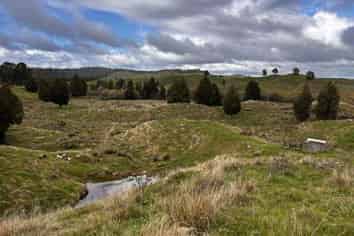 Lot 3 712 Mangapapa Road, Waitaanga