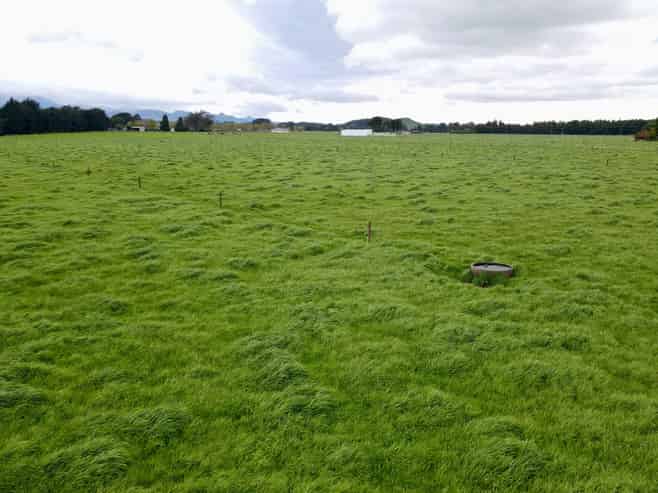 77 Tamaki River Road, Dannevirke
