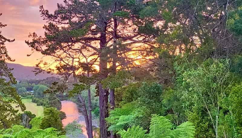 682 Kauaeranga Valley Road, Thames