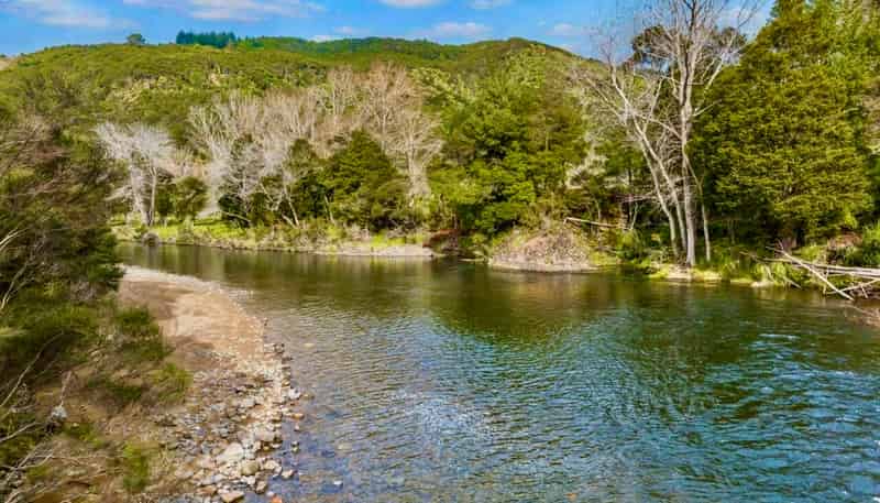 682 Kauaeranga Valley Road, Thames