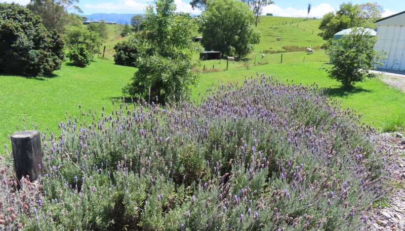 63 Knight Road, Dannevirke
