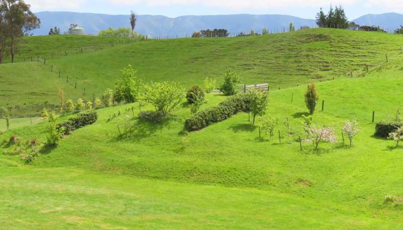 63 Knight Road, Dannevirke