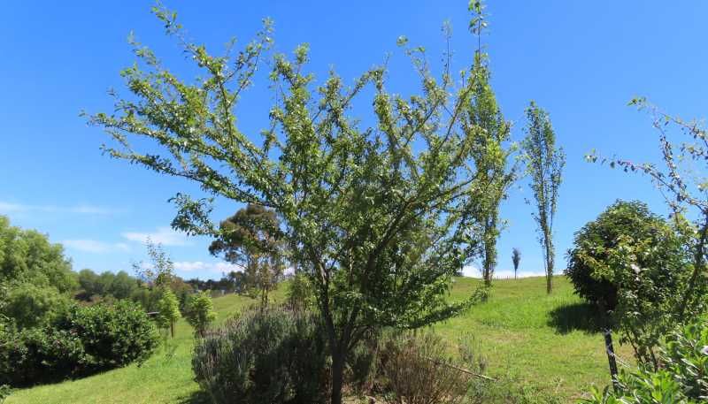 63 Knight Road, Dannevirke