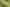 Lot 1 Te Rore Road, Kaitaia