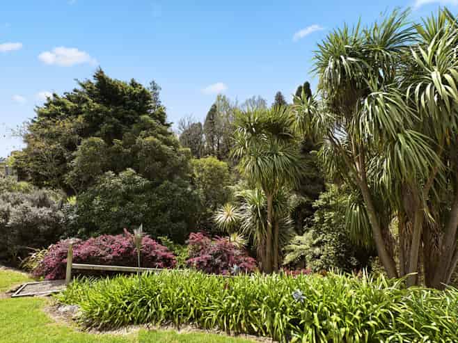 10 Macdiarmid Road, Beerescourt