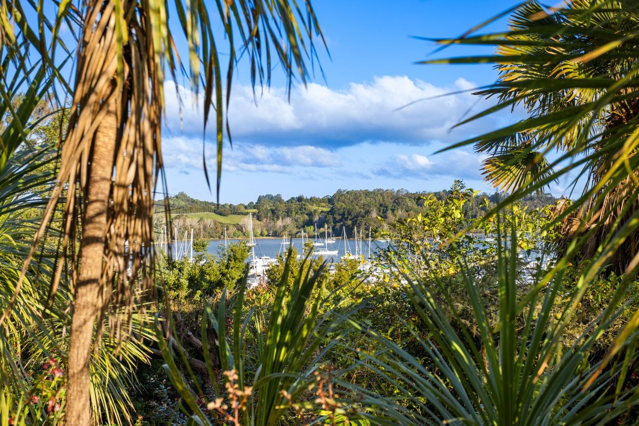Coastal opportunity in sunny Opua - Widok 3