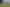 Waikato - Address withheld