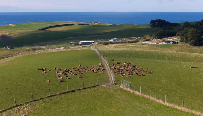 137 McLeods Road, Palmerston