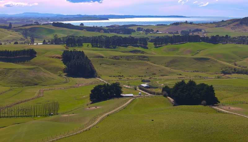 137 McLeods Road, Palmerston