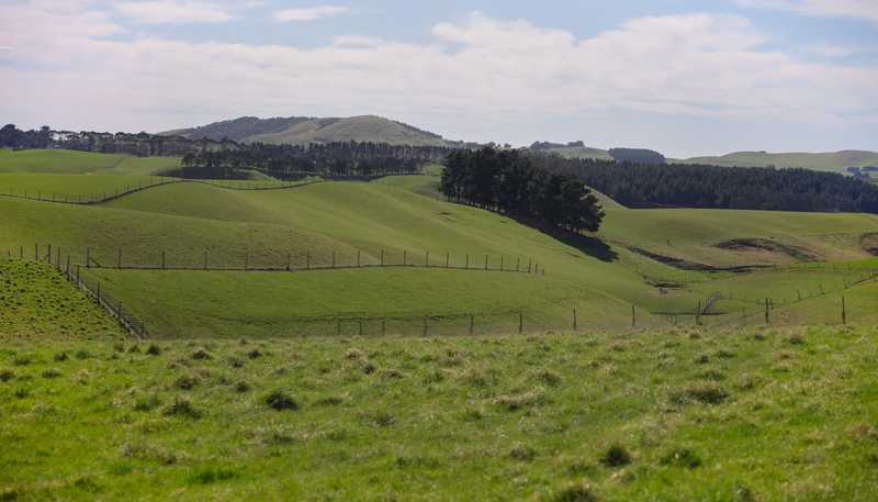 137 McLeods Road, Palmerston