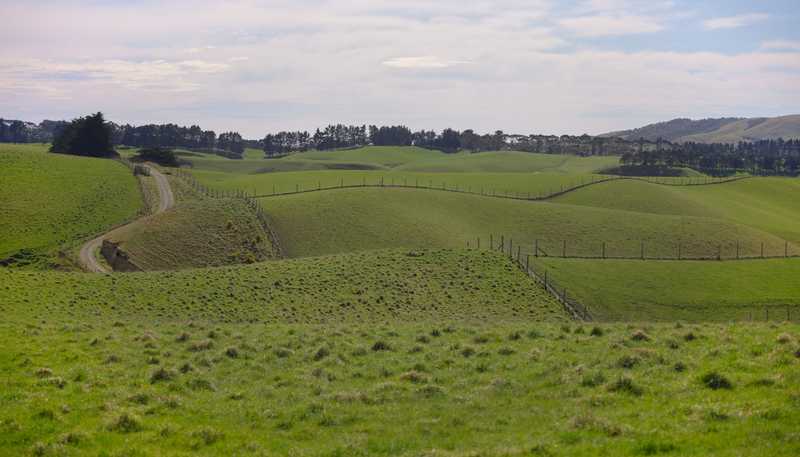 137 McLeods Road, Palmerston