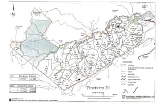Lot 5/ Shanks Road, Waingake