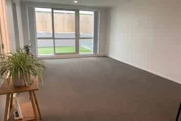 2M/21 Virginia Avenue East, Eden Terrace