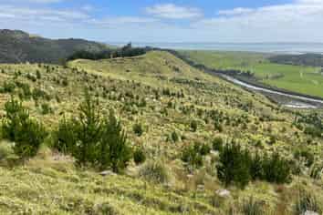 3716 Kaipara Coast Highway, Mangakura