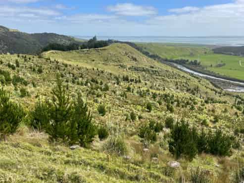 3716 Kaipara Coast Highway, Mangakura