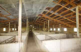 996 Goodwood Road, Palmerston