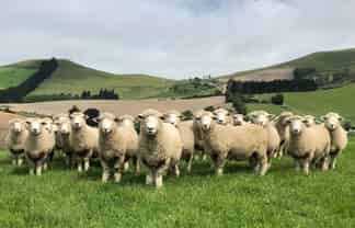 996 Goodwood Road, Palmerston