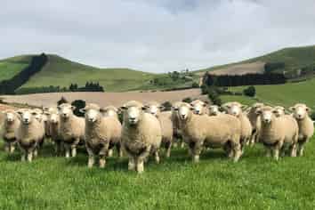 996 Goodwood Road, Palmerston