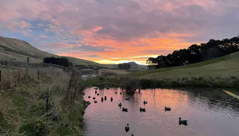 996 Goodwood Road, Palmerston