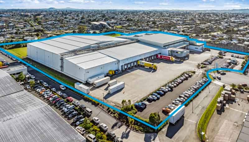 17 Nesdale Avenue, Wiri