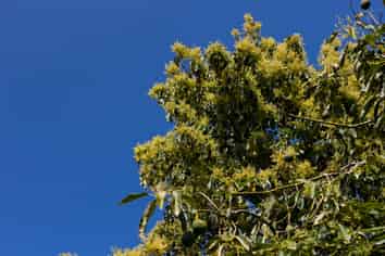 LOT 10 27 Turk Valley Rd, Pukenui