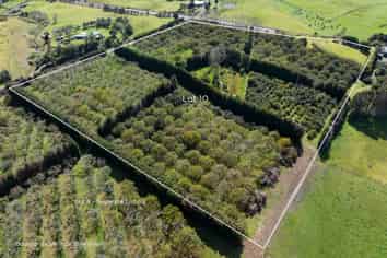LOT 10 27 Turk Valley Rd, Pukenui