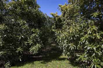 LOT 10 27 Turk Valley Rd, Pukenui