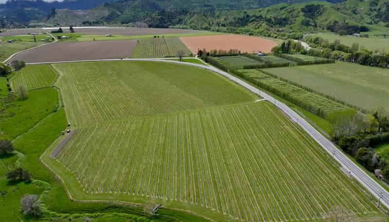 2057 Matawai Road, Te Karaka
