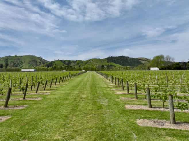 2057 Matawai Road, Te Karaka