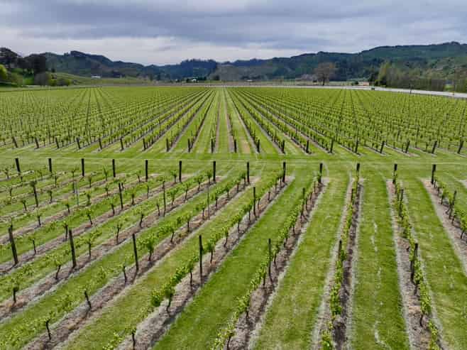 2057 Matawai Road, Te Karaka