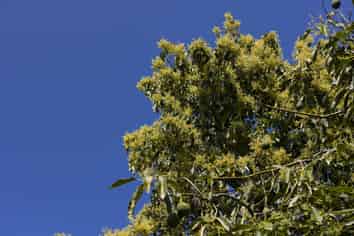 LOT 10 27 Turk Valley Rd, Pukenui