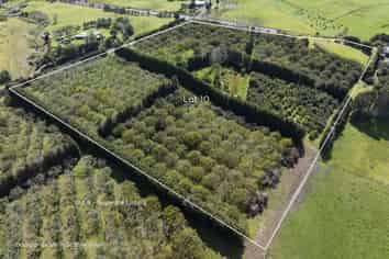 LOT 10 27 Turk Valley Rd, Pukenui